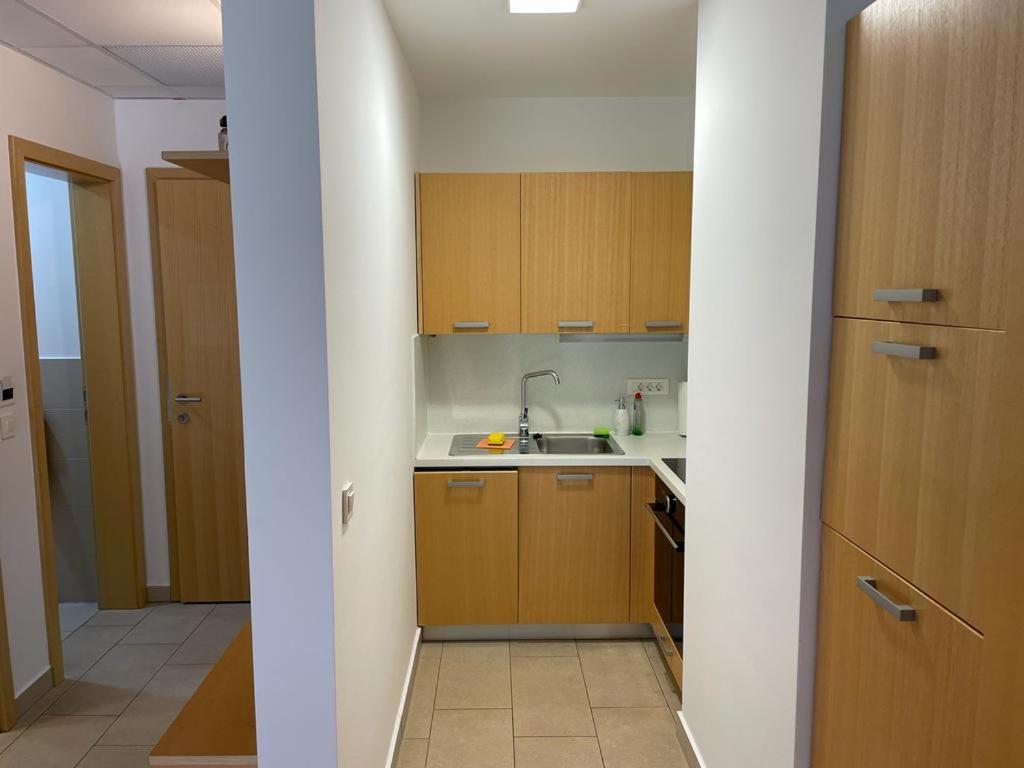 Casa Brut Premium Free Parking Apartment Maribor Bagian luar foto